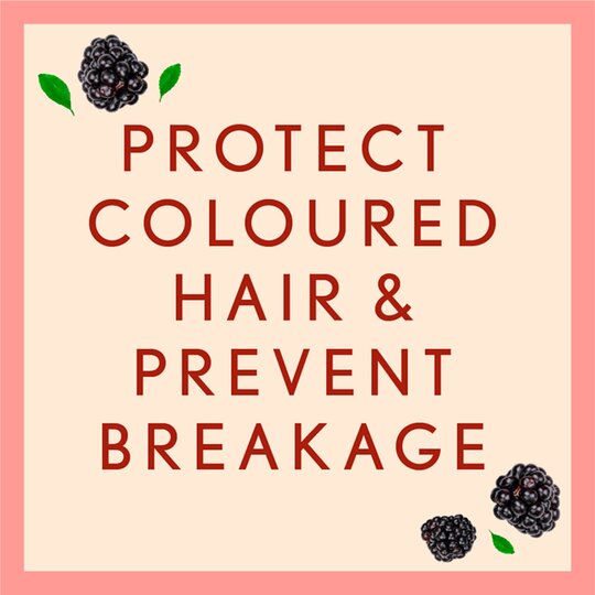 Aveeno Itchy Scalp Soothing & Colour Protect Conditioner with Blackberry & Quinoa for Colour Treated Hair 354ml - Image 2